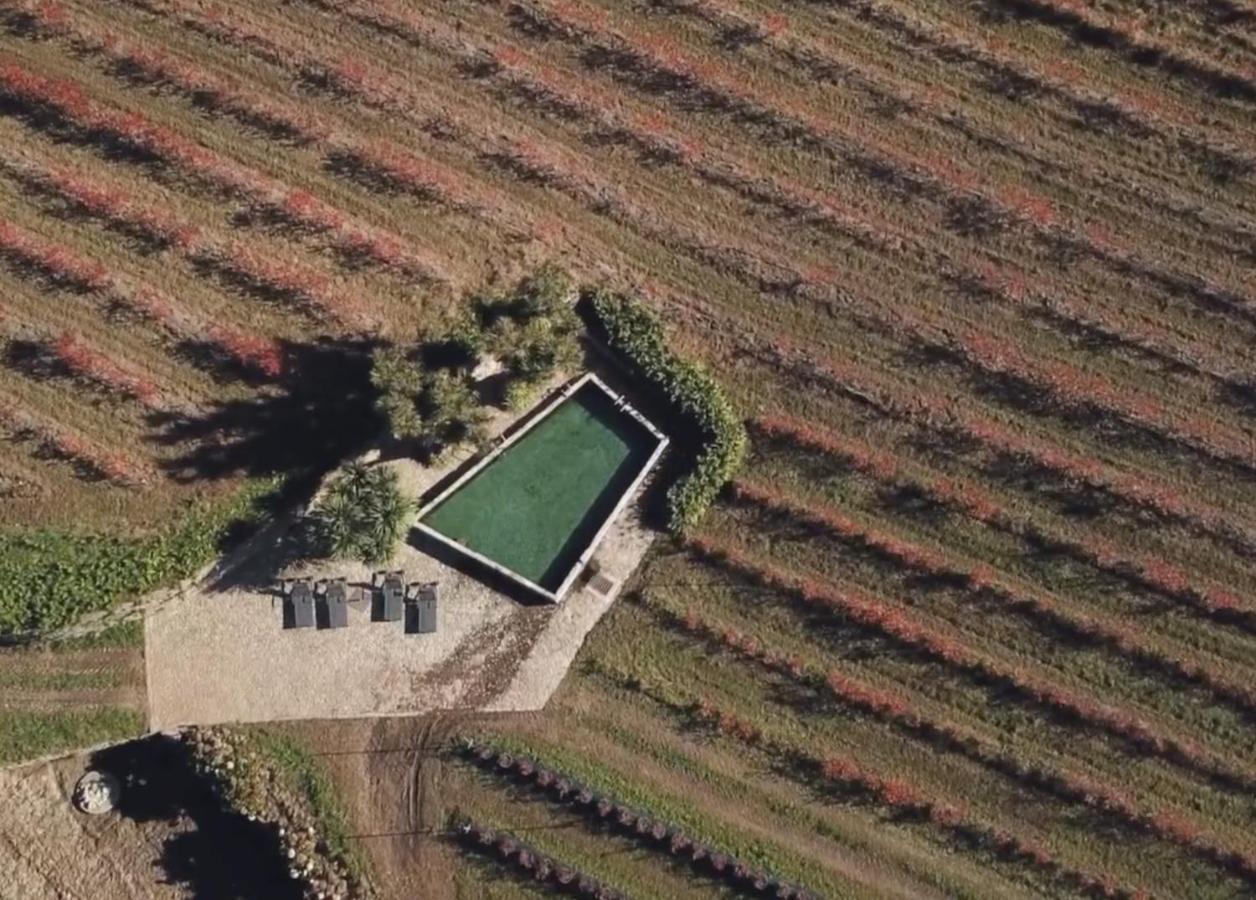 Quinta Das Piramides - O Comendador Vila Nova de Famalicão Zewnętrze zdjęcie
